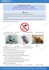 Đề thi giữa kì 1 KHTN 6 Cánh diều - Đề số 3